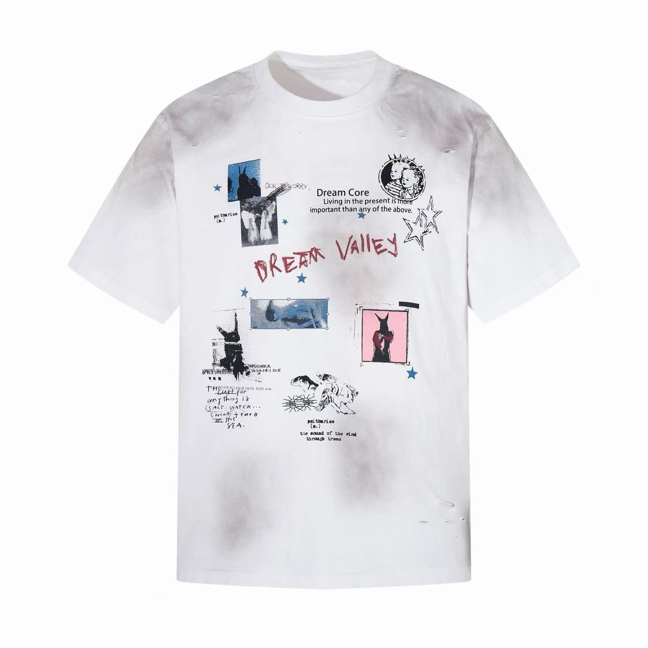 STARRVAINT Dream Valley Distressed Tee