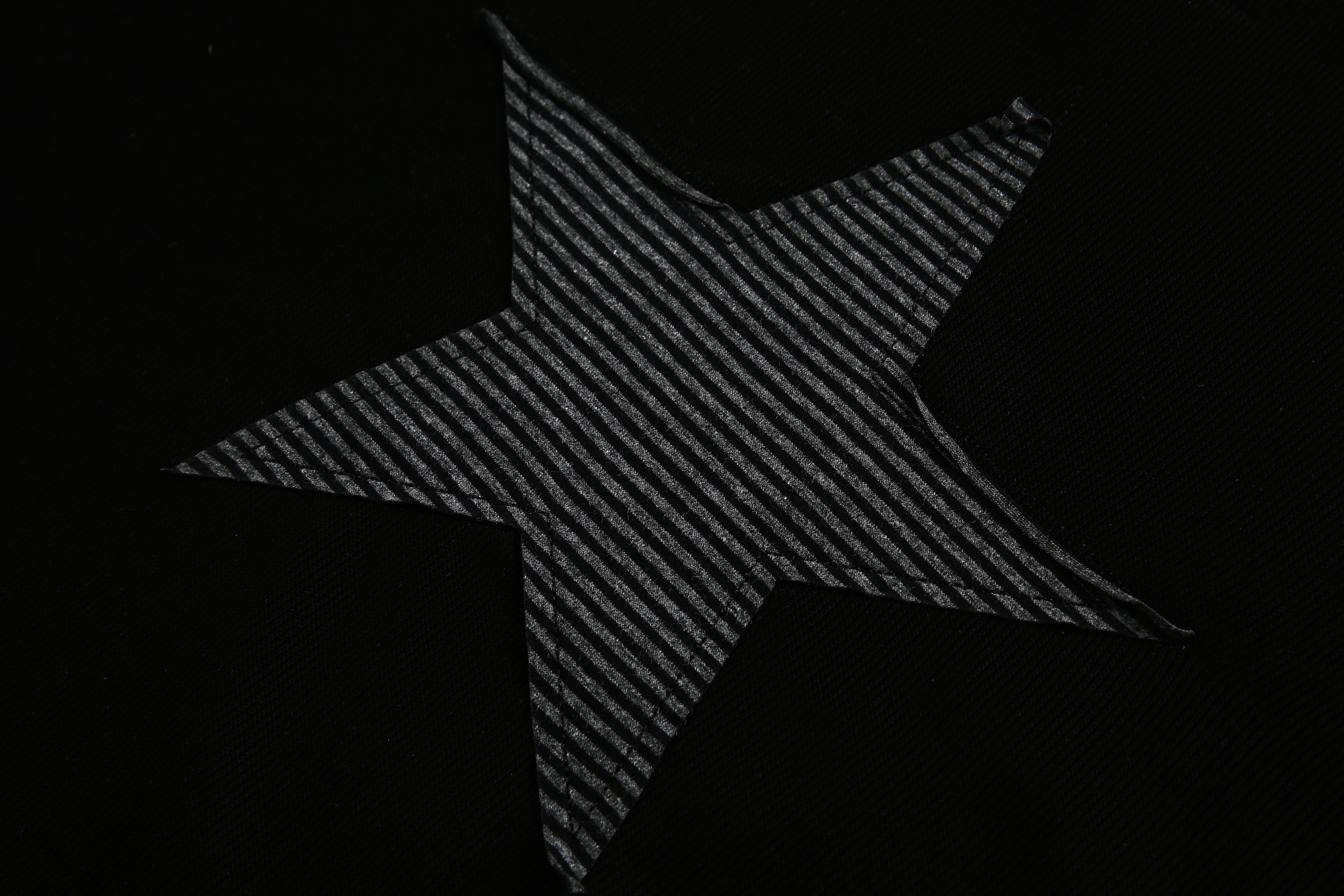 STARRVAINT Star Panel Cropped Cotton Long-Sleeve